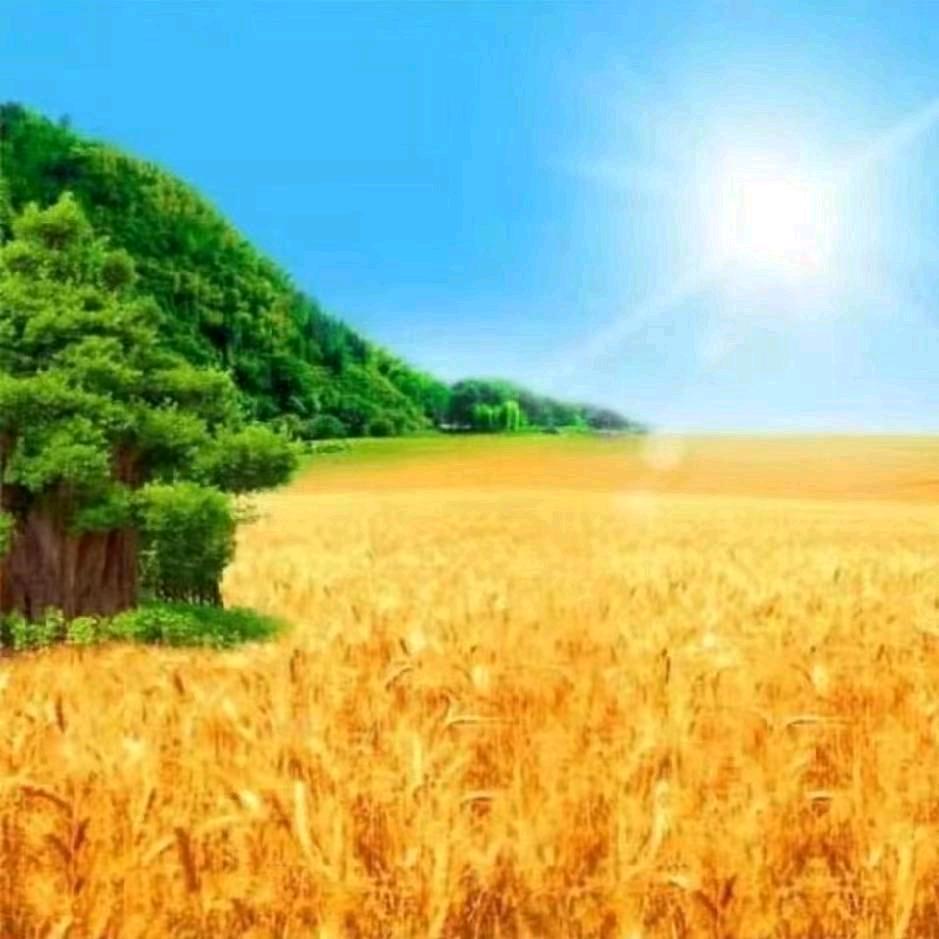 🐉衛妳迩劉🦚