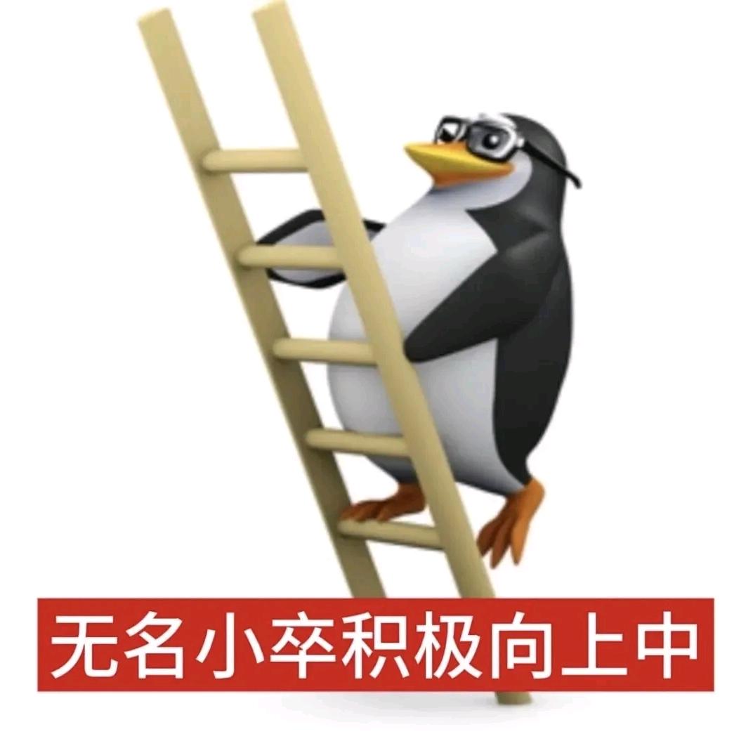 赤霞街深谋远虑的黑白企鹅