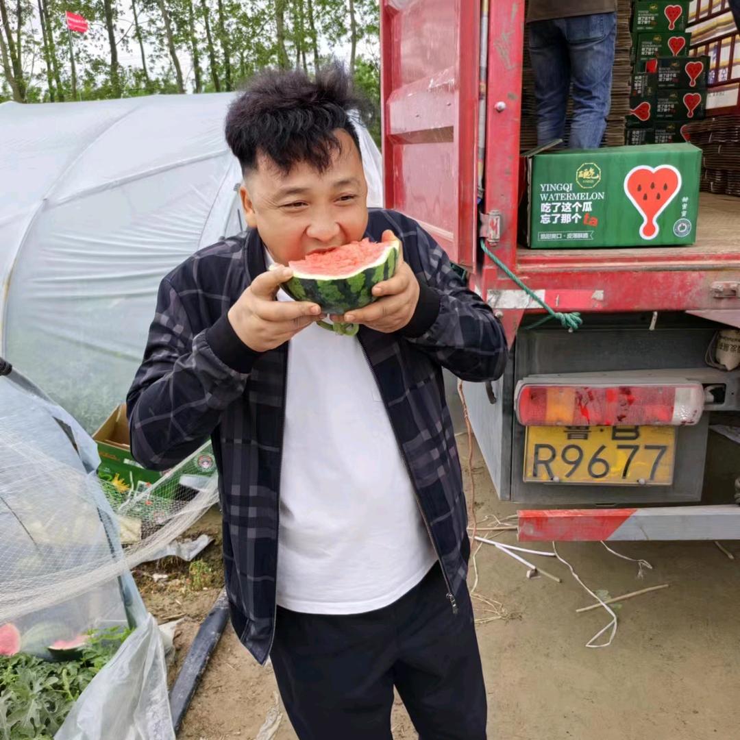 拼命三郎