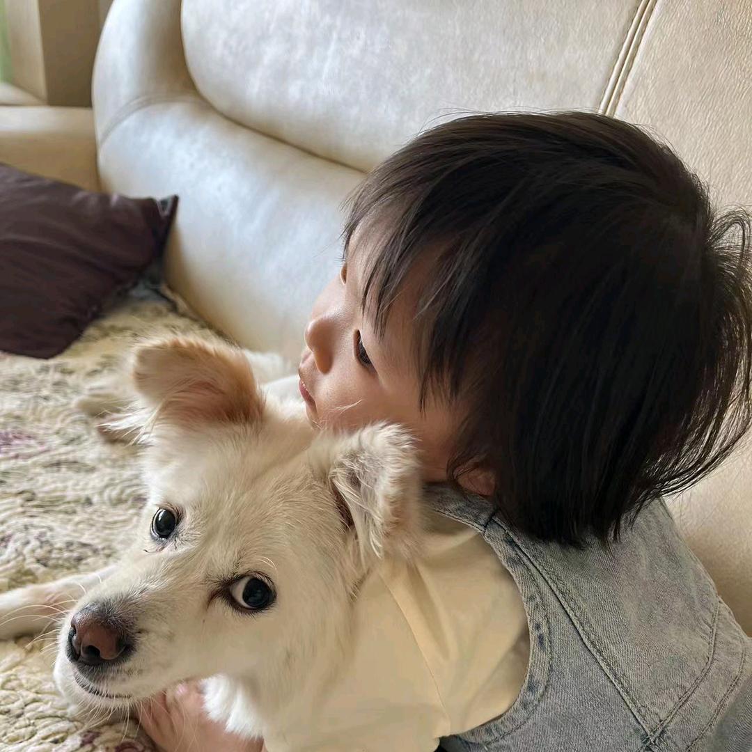 超级无敌小可爱
