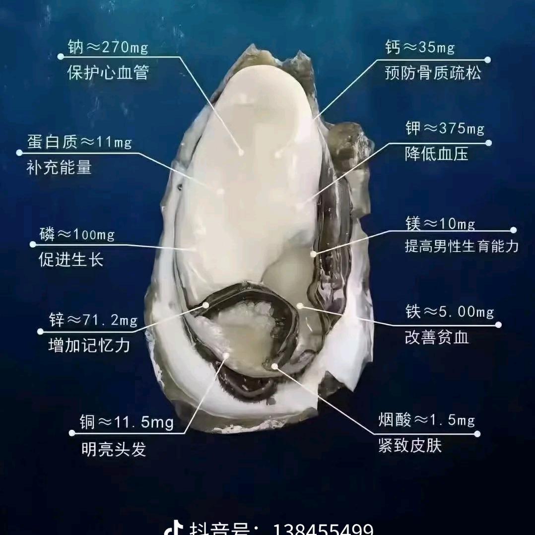 手工烤面筋，烤生蚝