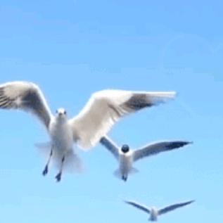 后半生