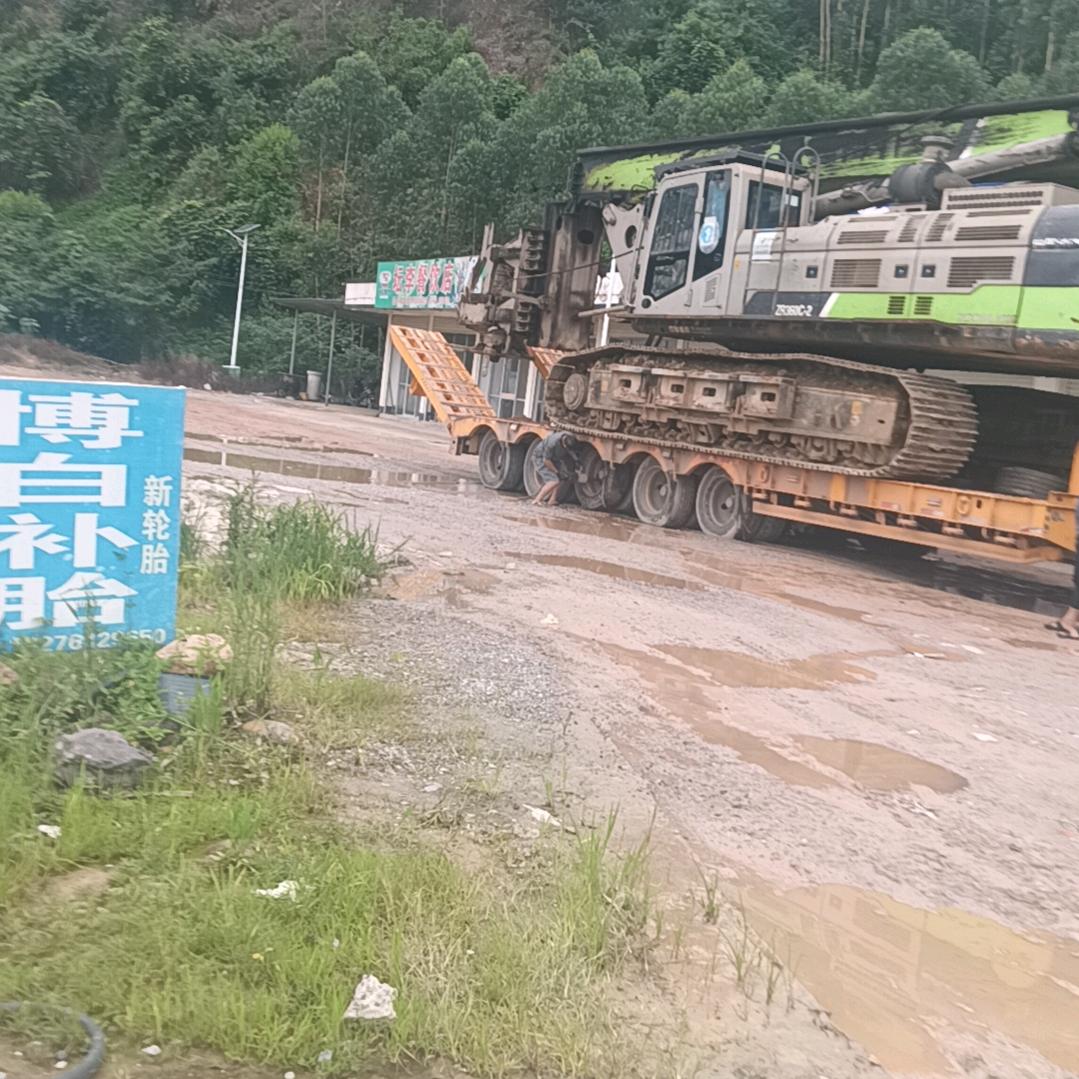 美丽的世界，单身的我