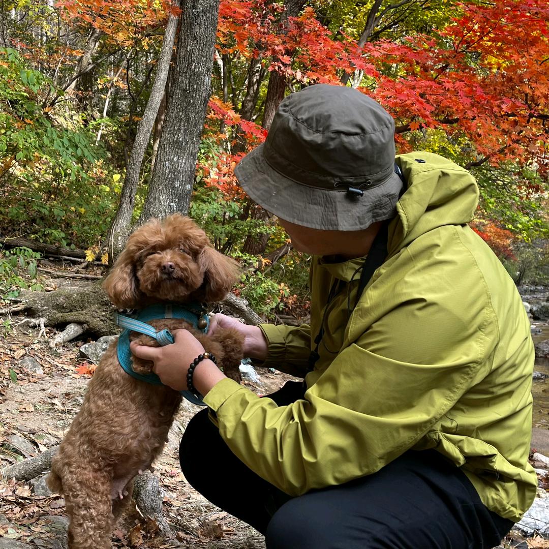 全景一哥和妞妞@抖音