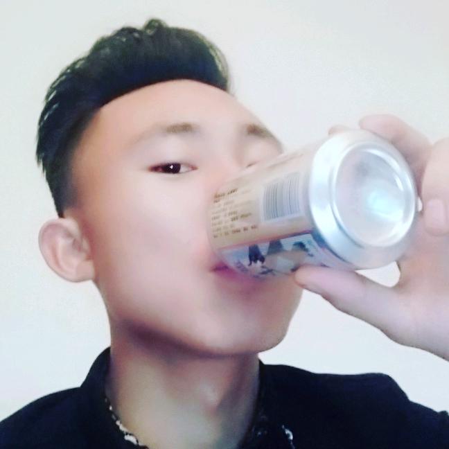 人生若只如初见