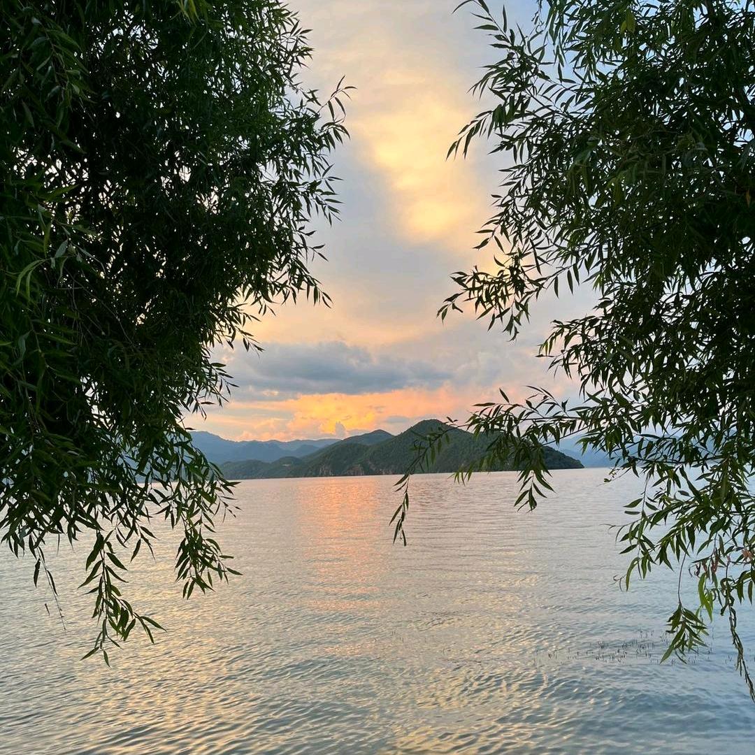 金凤凰丹阳黄酒门市部(千家乐南苑店)先呺藃直播号