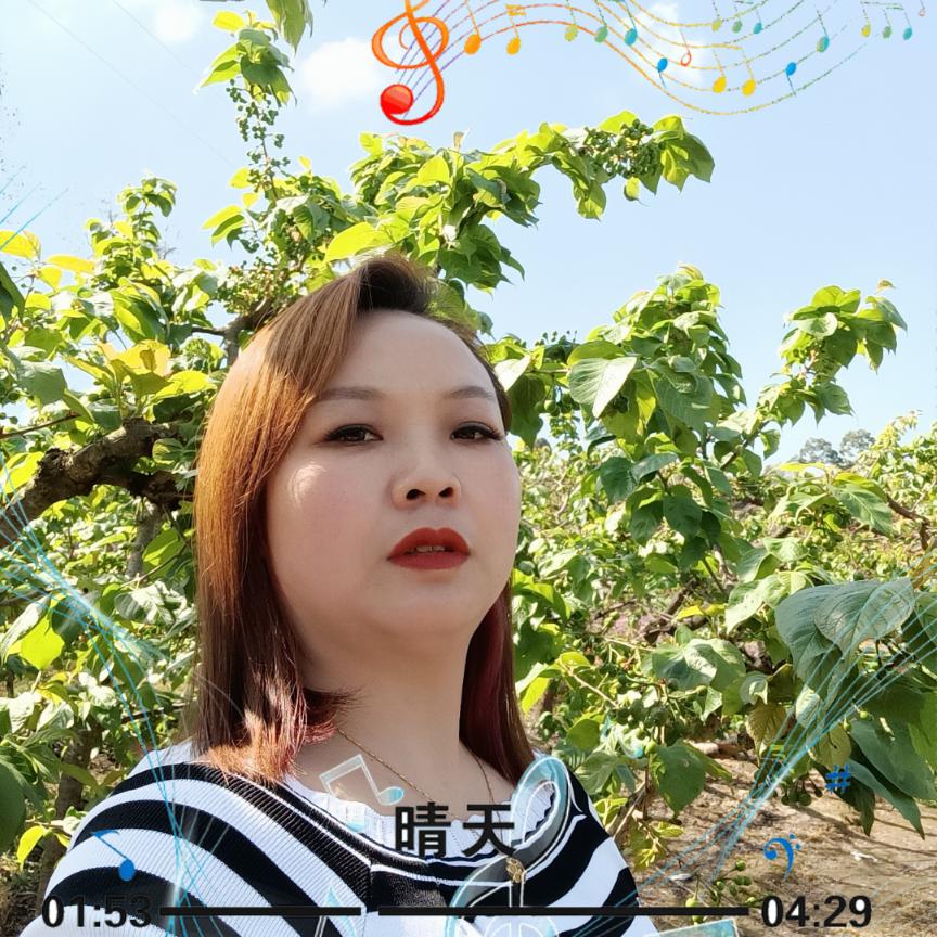 玲姐