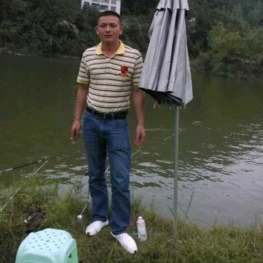 《温馨何哥》