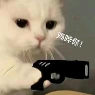最爱V的!喵