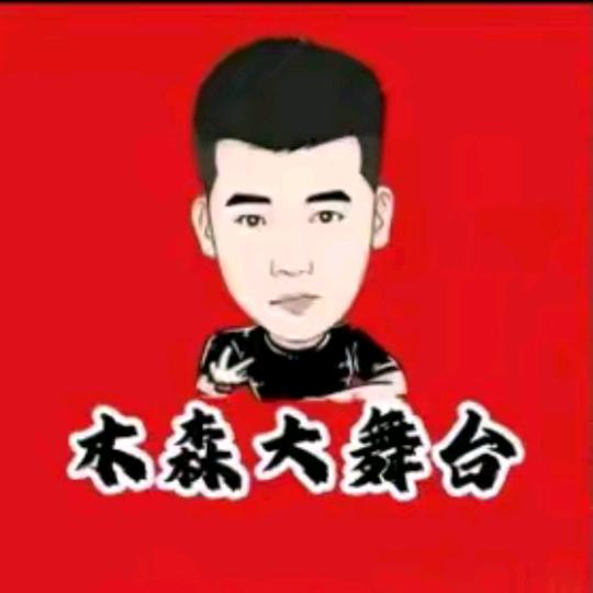 木森大舞台（不负众望）