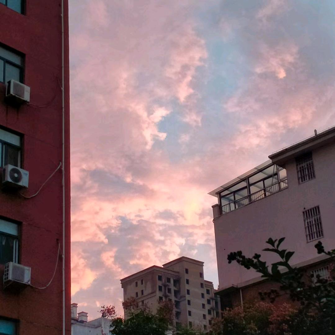 小小怪