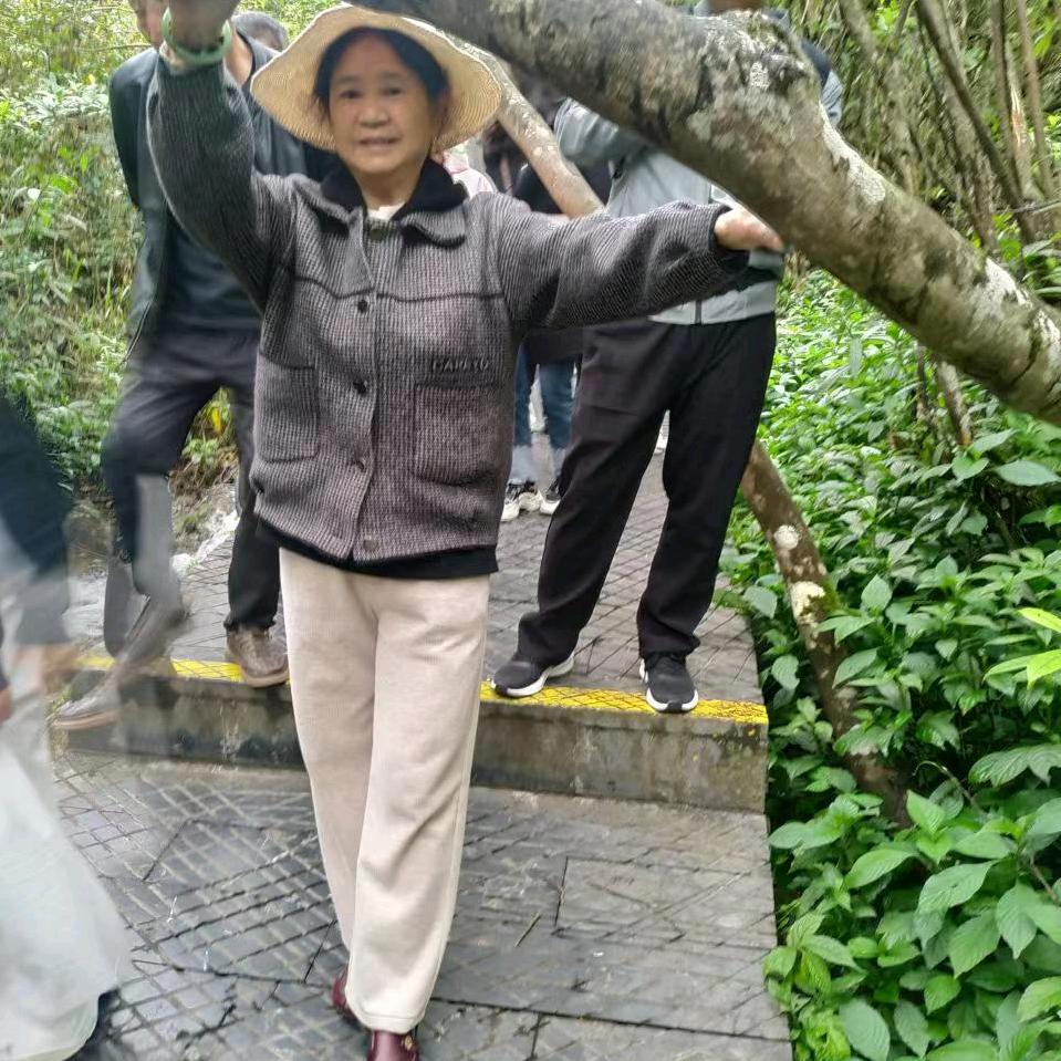 琴琴