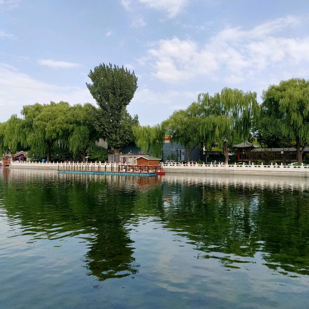 聪仙