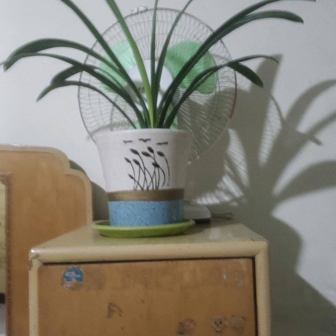 难得糊涂是快乐