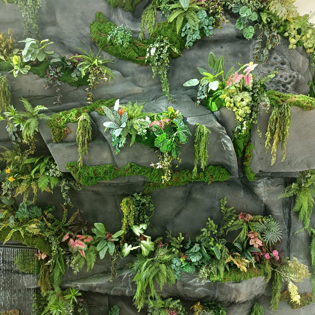 明天更美好呵呵