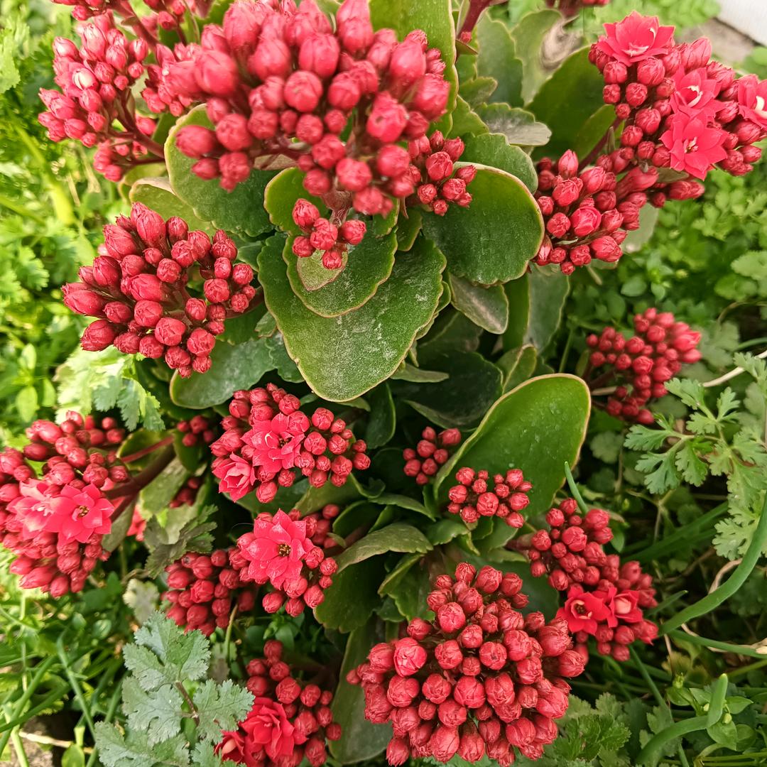 只因心中有爱，酸甜苦辣都是歌