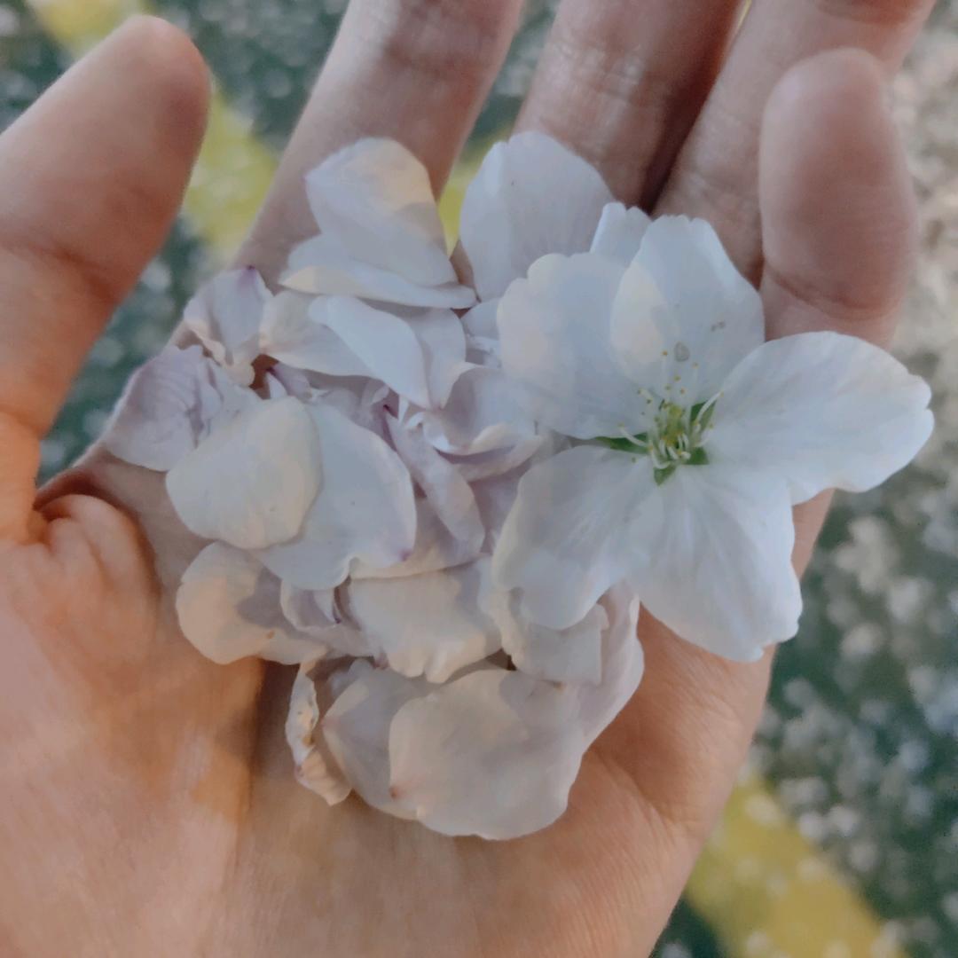 开🌸心～💖