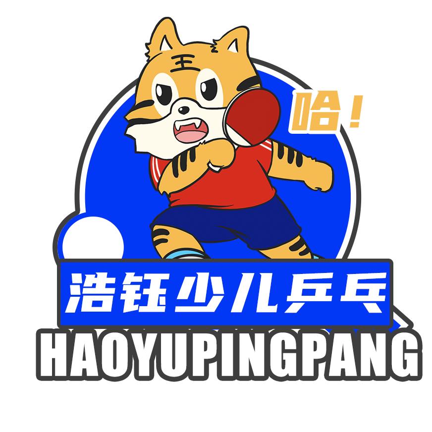 舒城浩钰乒乓球运动俱乐部
