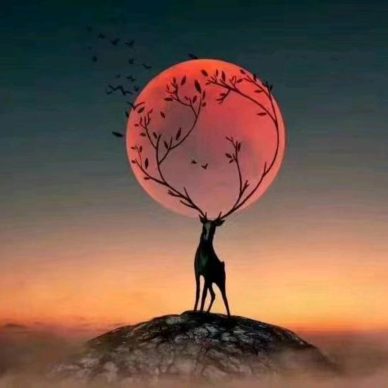 ⚡阳光⚡【🐲】