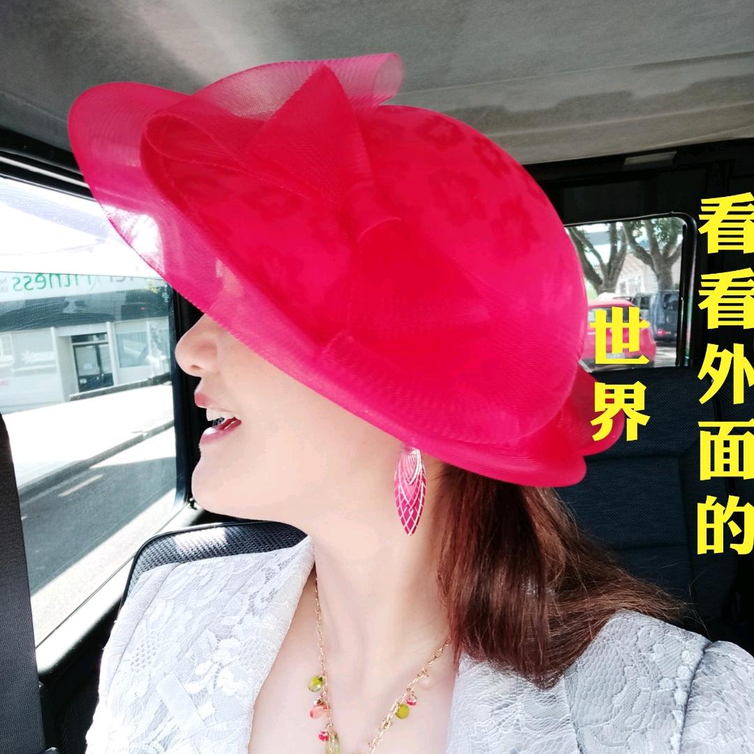 雷维萨