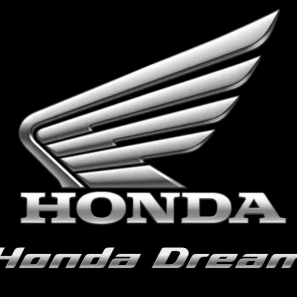 新大洲本田(南充高标店)