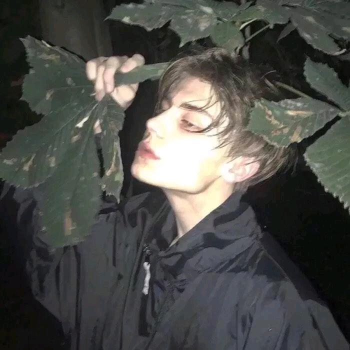 -胖胖-
