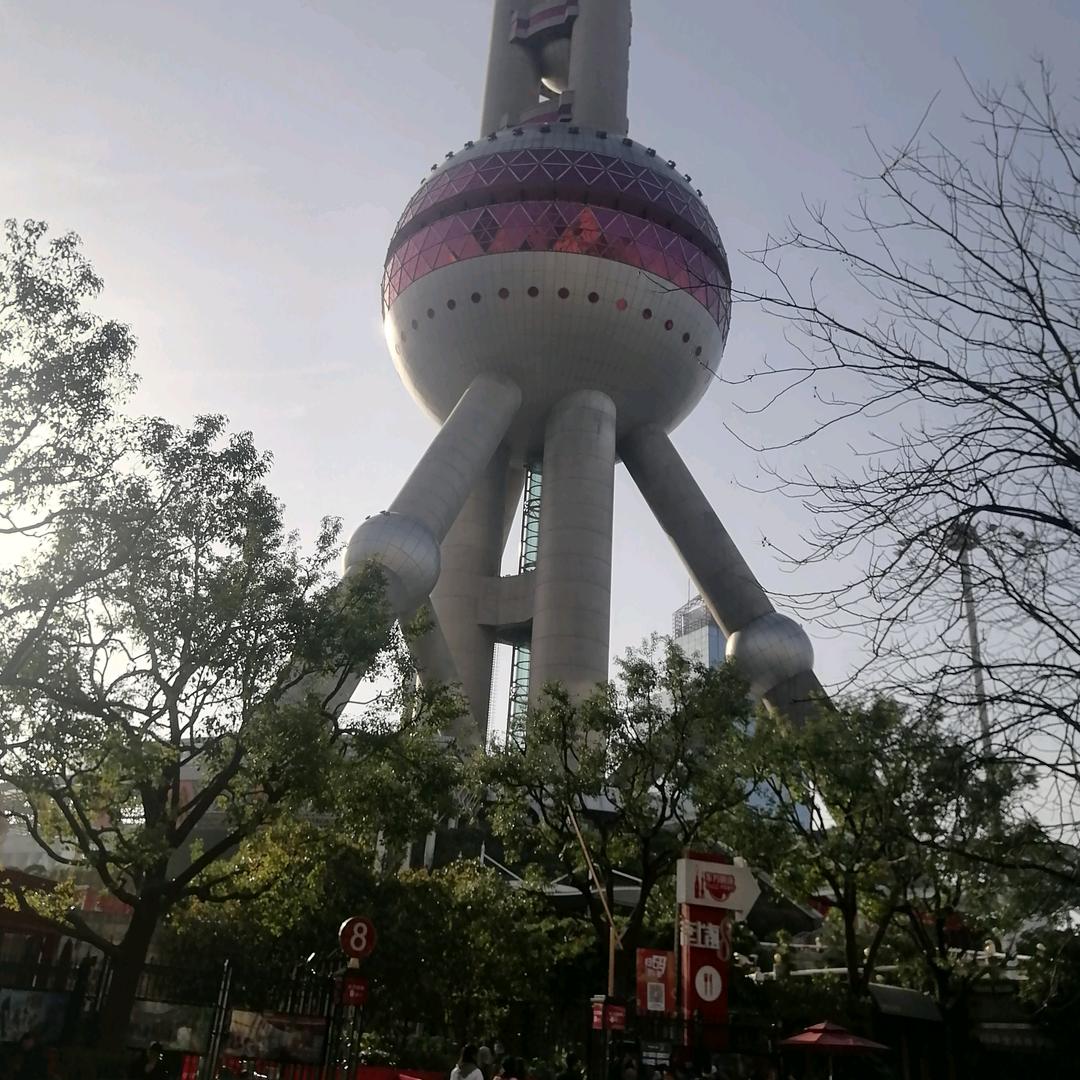 社会研究生