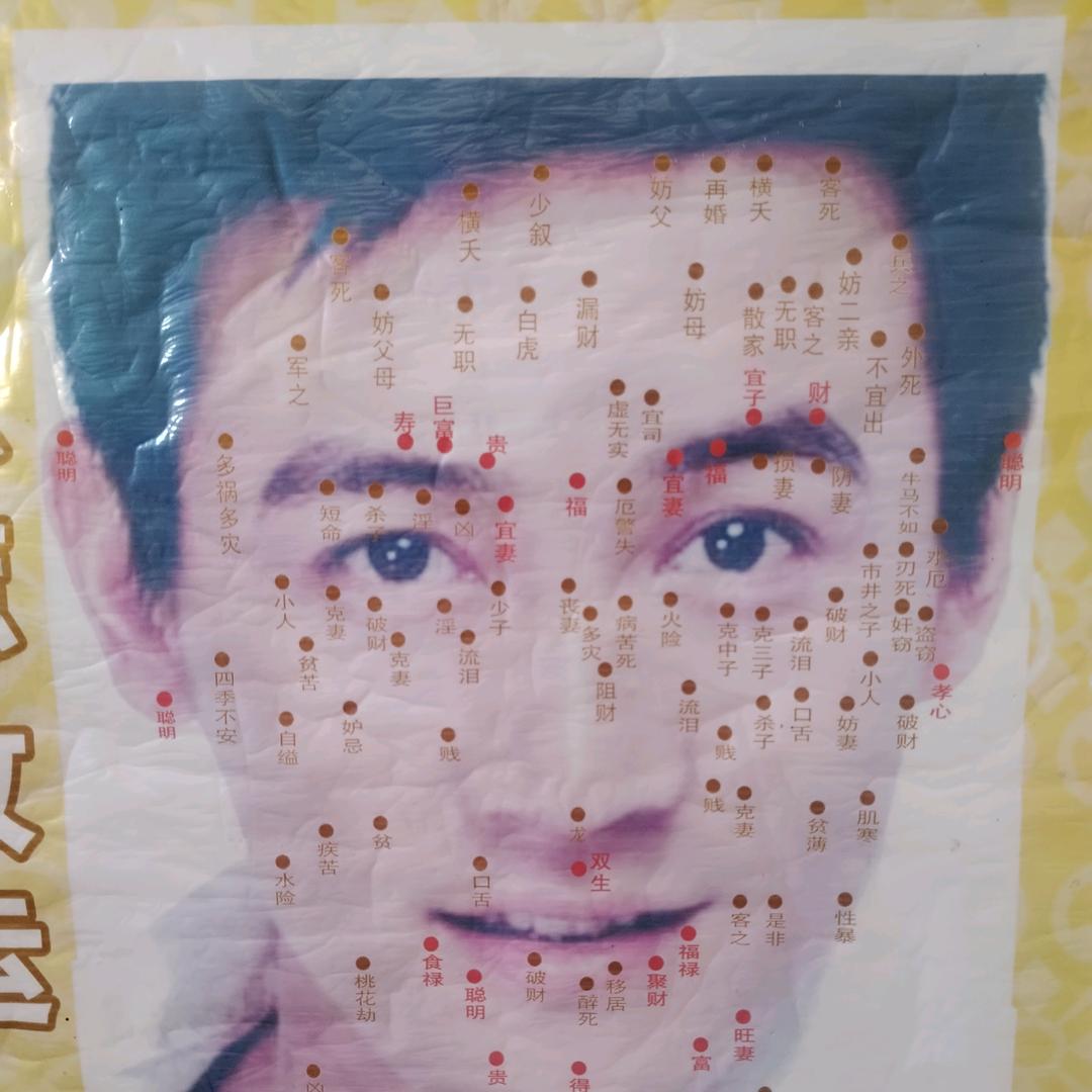 李自由自在