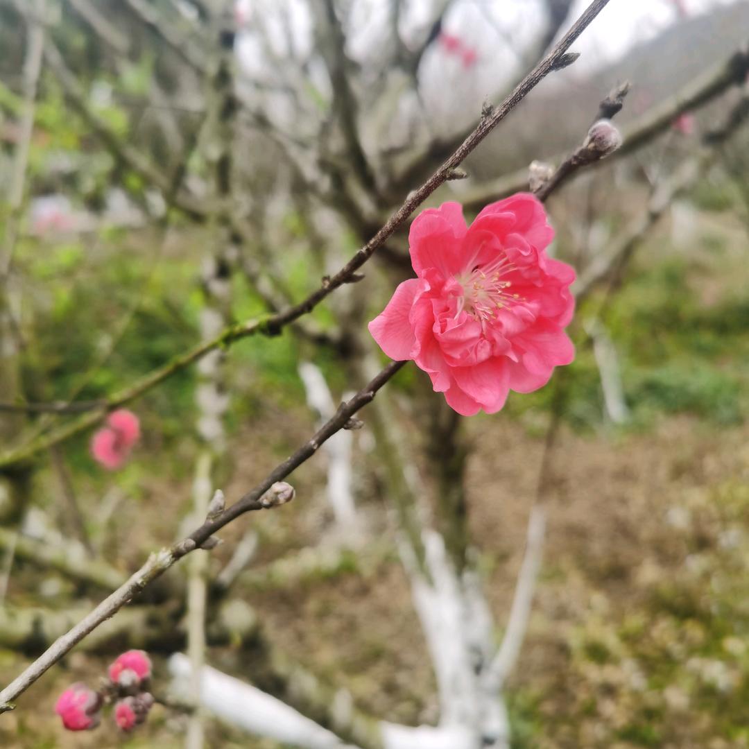 安阳爱分享