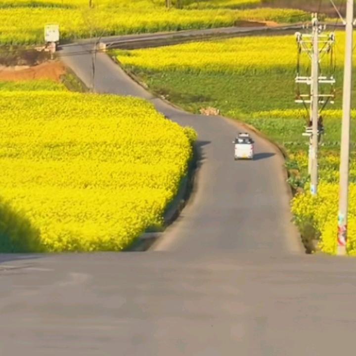 上下左