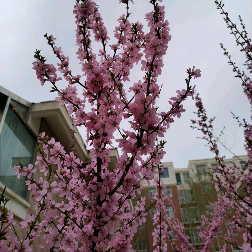 盐池专业换纱窗、做金刚网纱窗