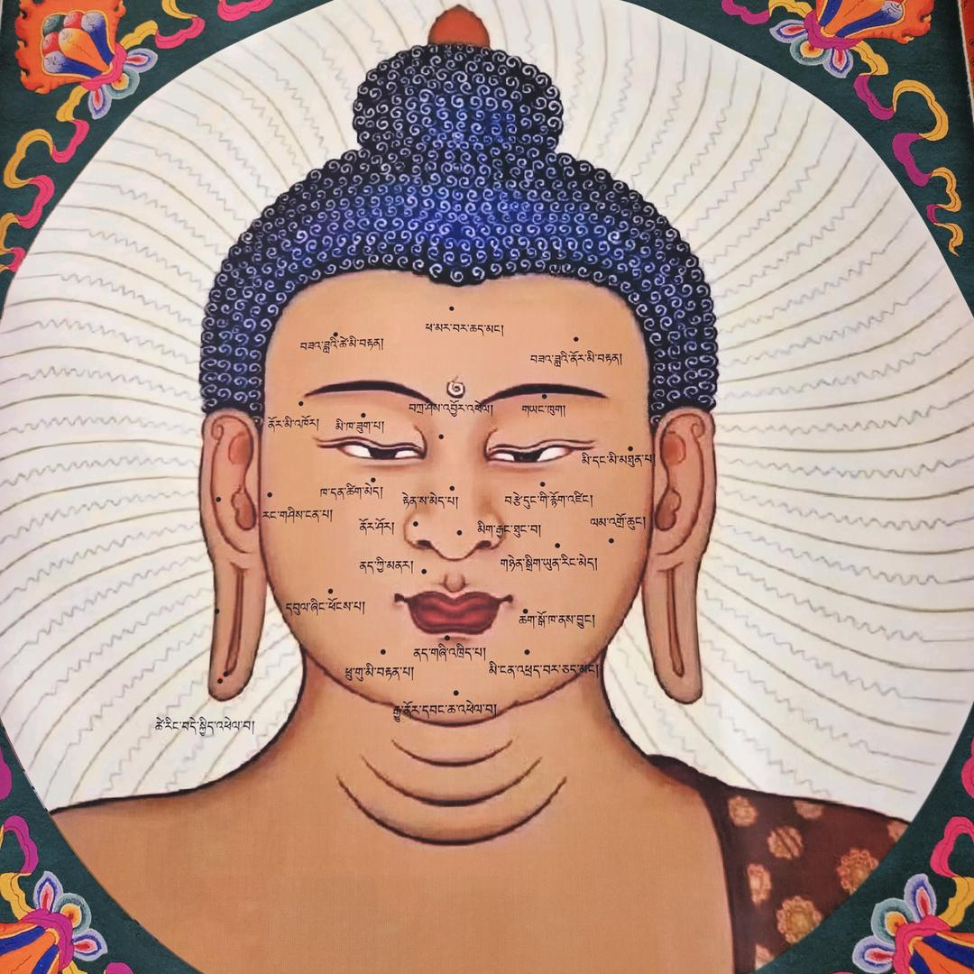 拉萨痣仁堂总店