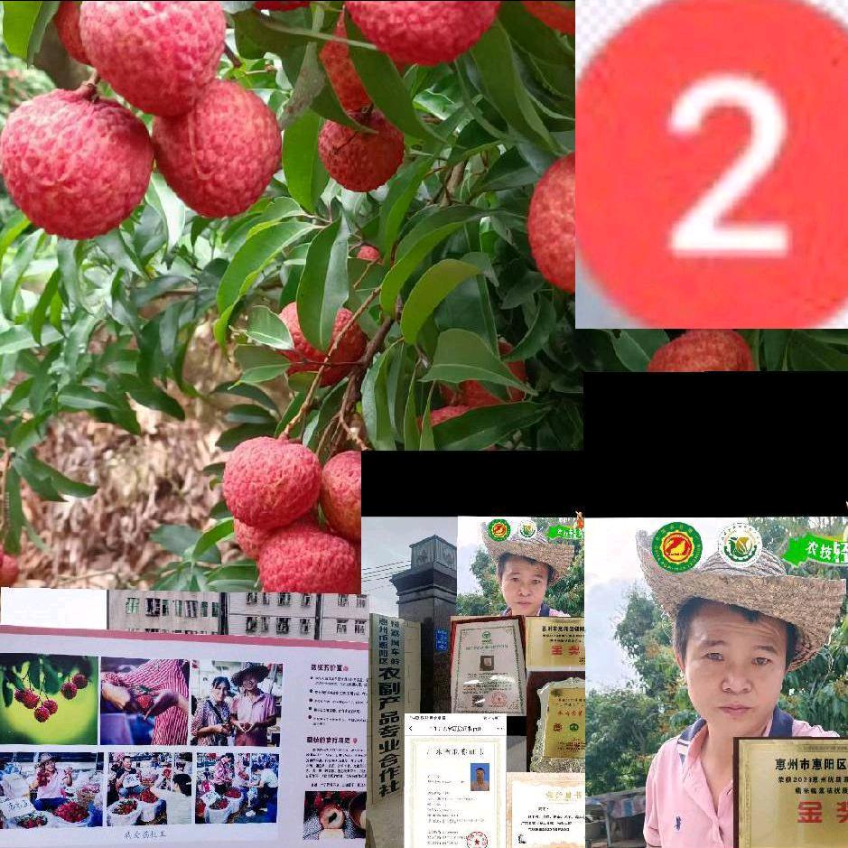 镇隆古荔王匠农家（坚哥）