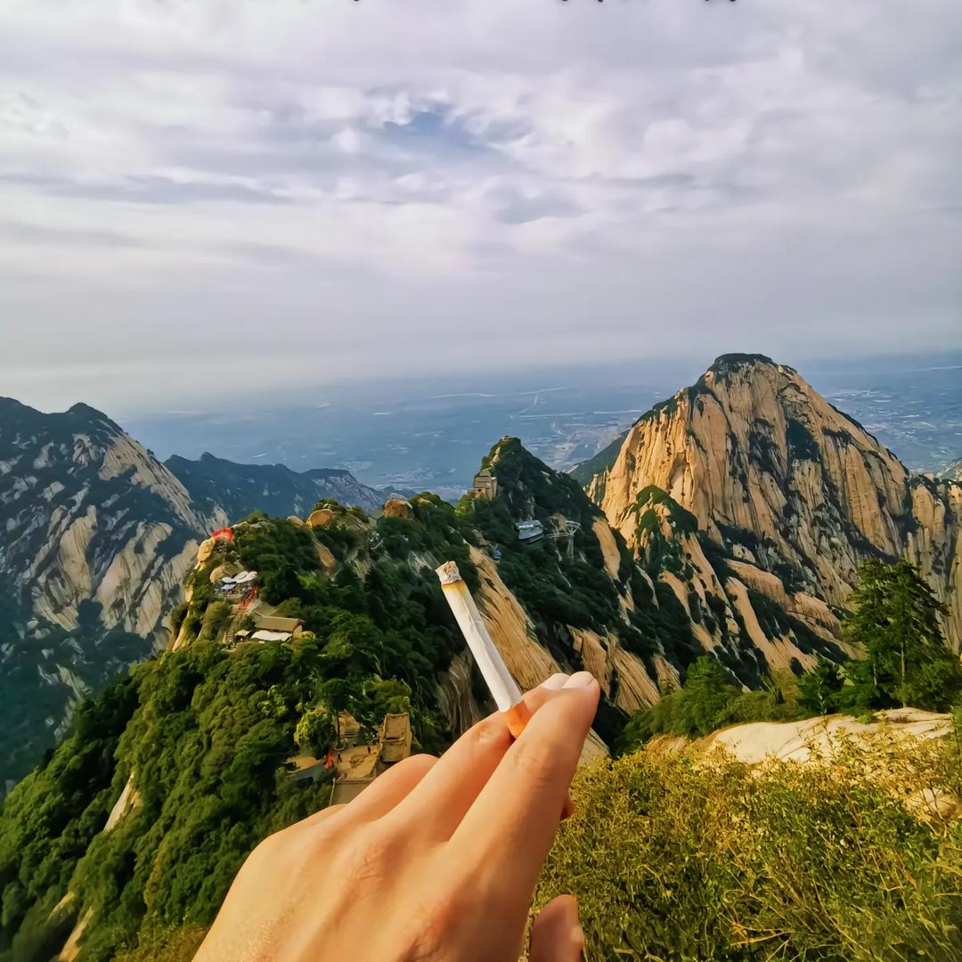 简单灬最美