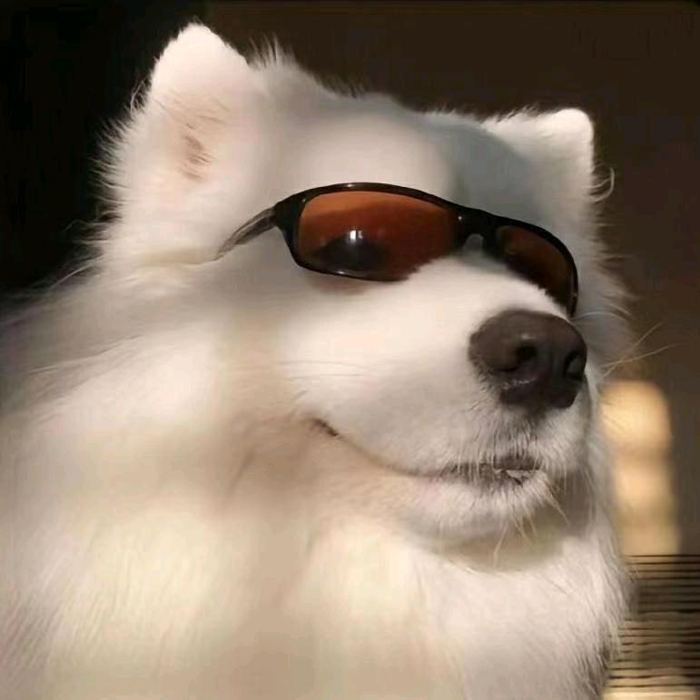 岚风🇨🇳