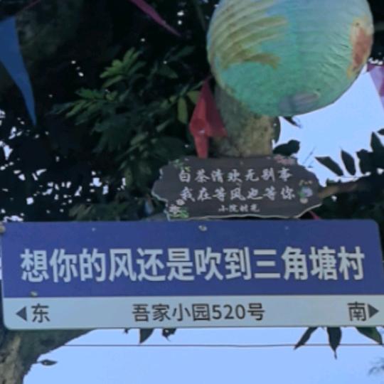 老顽童🛵🎤
