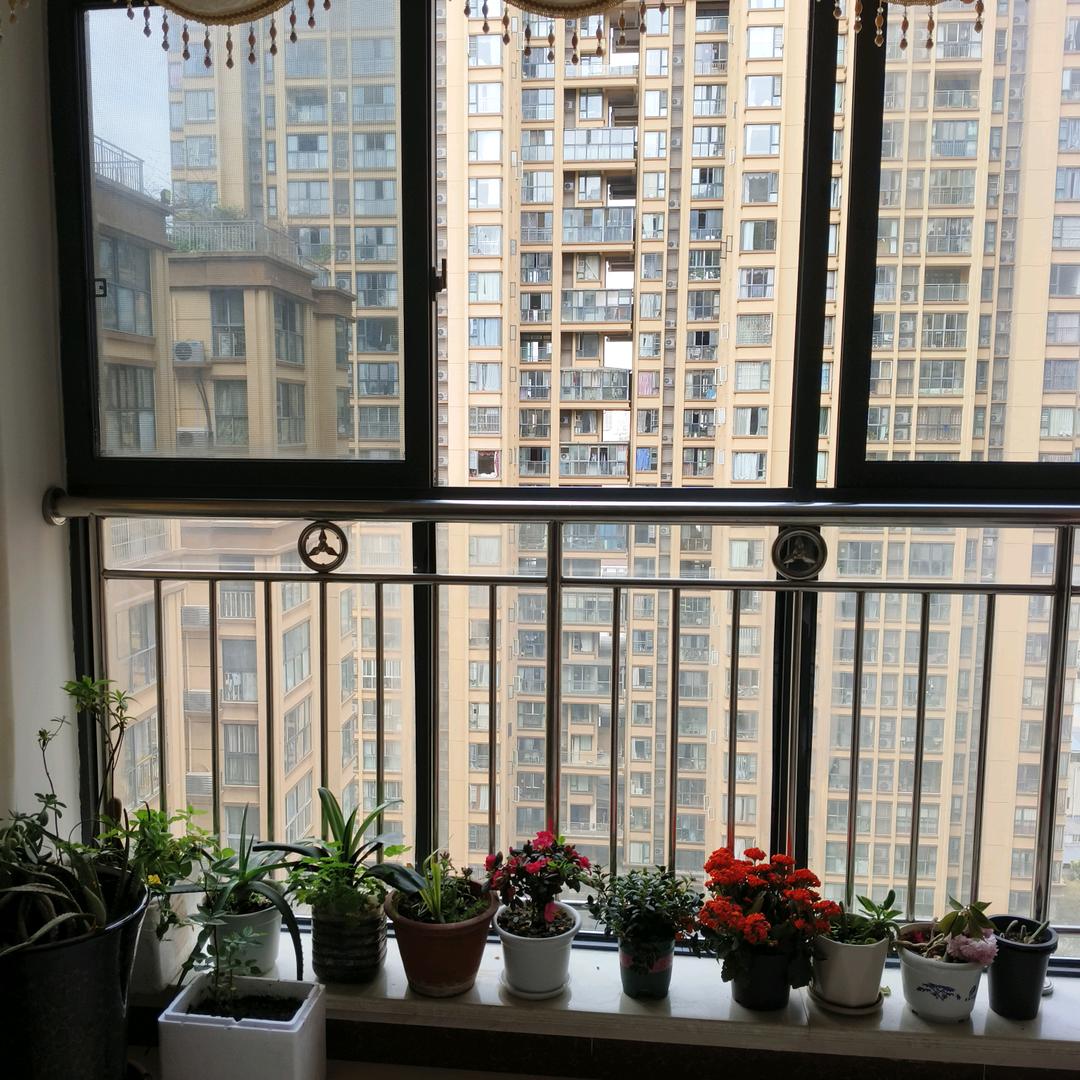 70后的李姐
