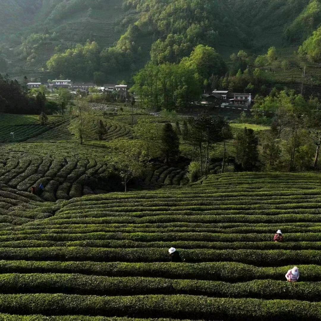 石小溪