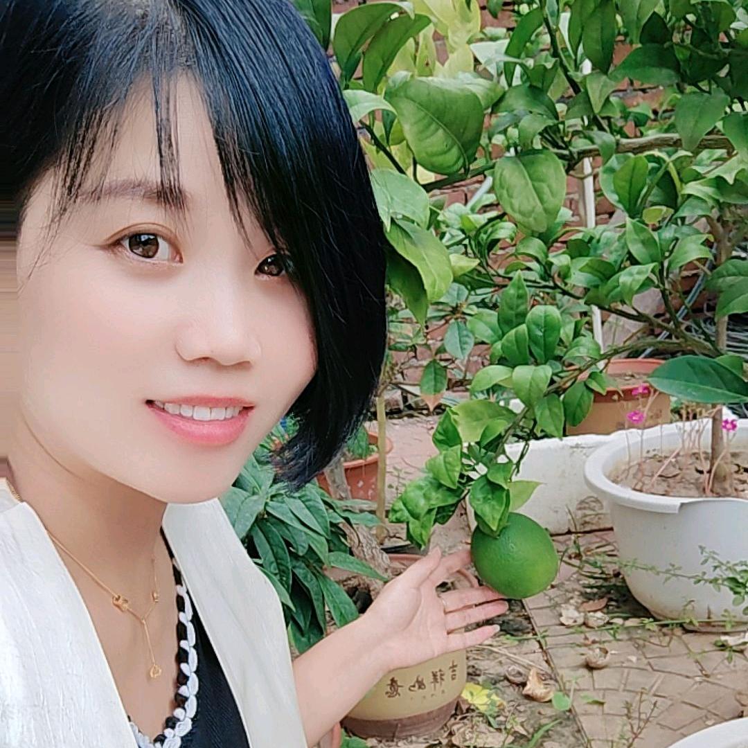 你若安好便是晴天