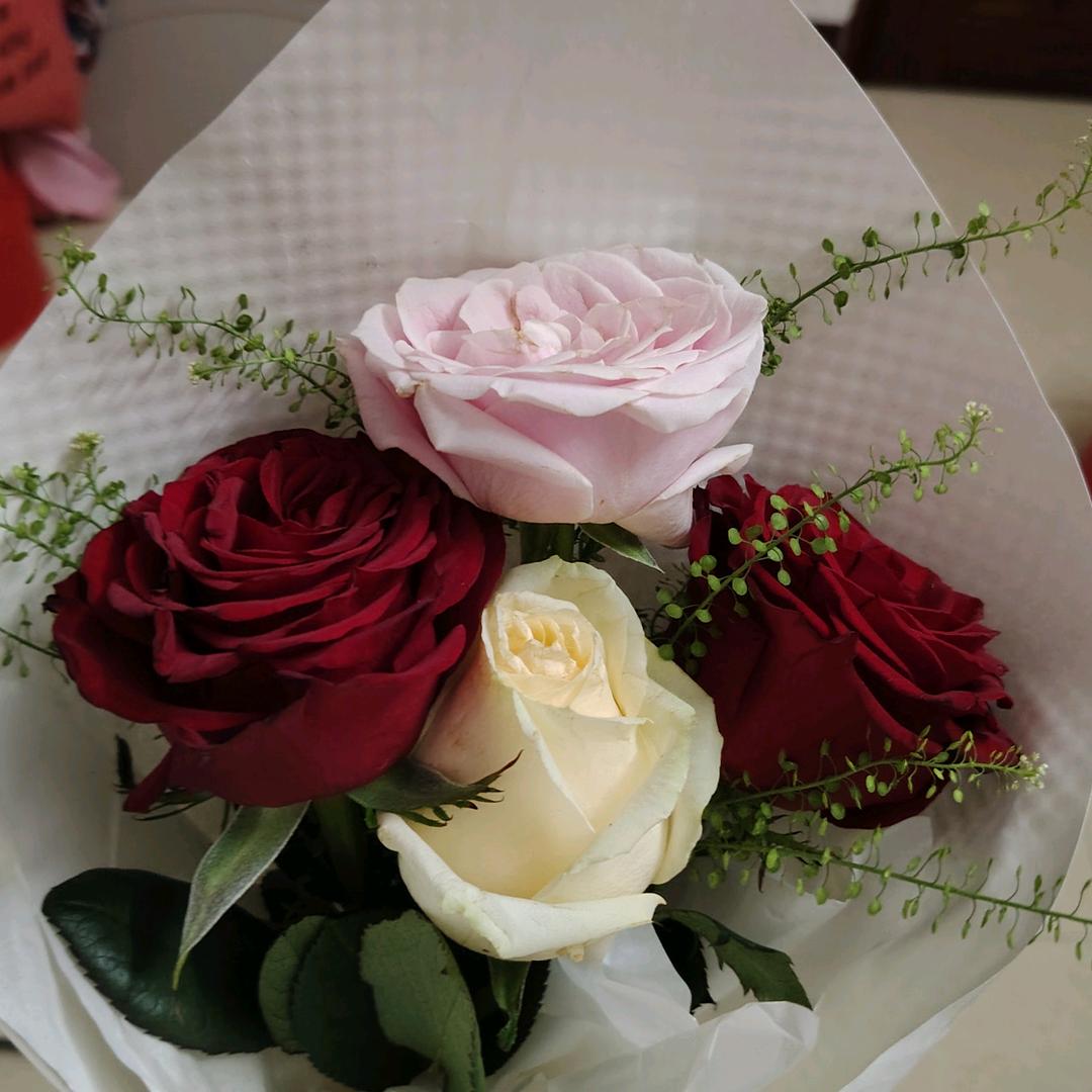 🌹小🌹燕🌹子🌹