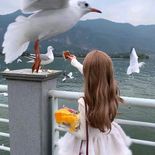 脆脆饼