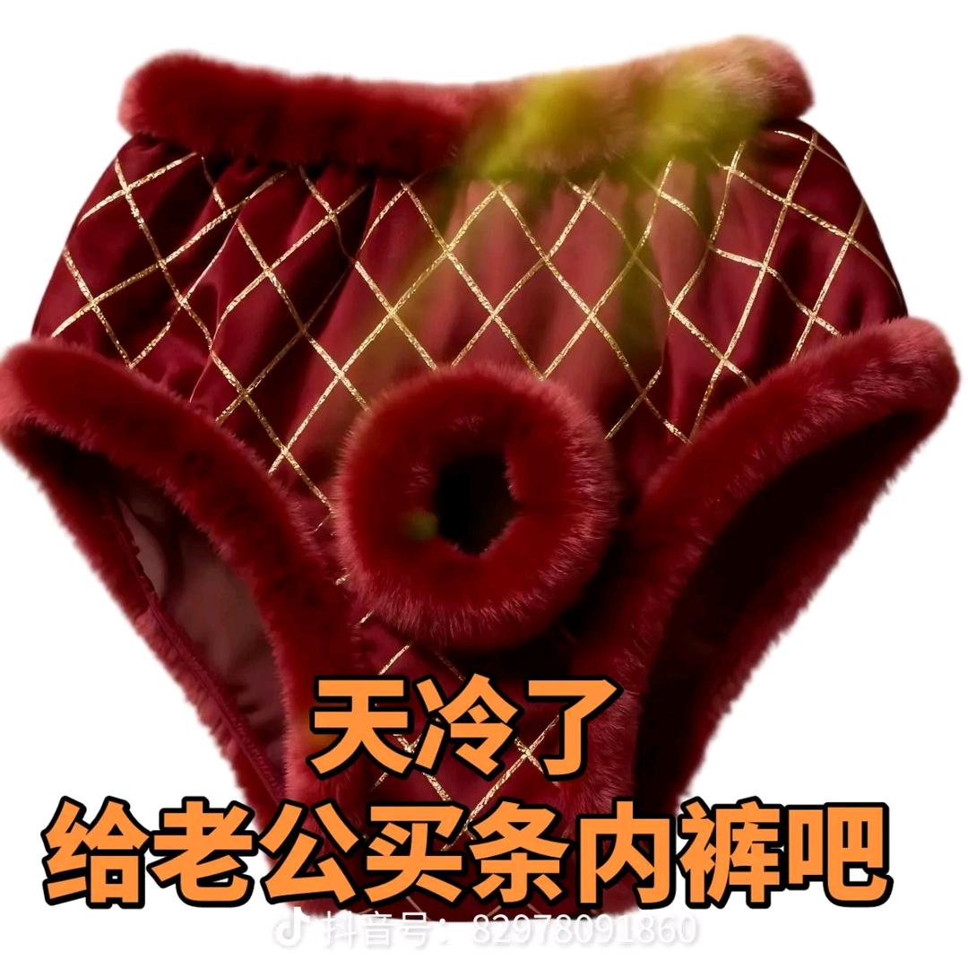 提起内裤全网跑