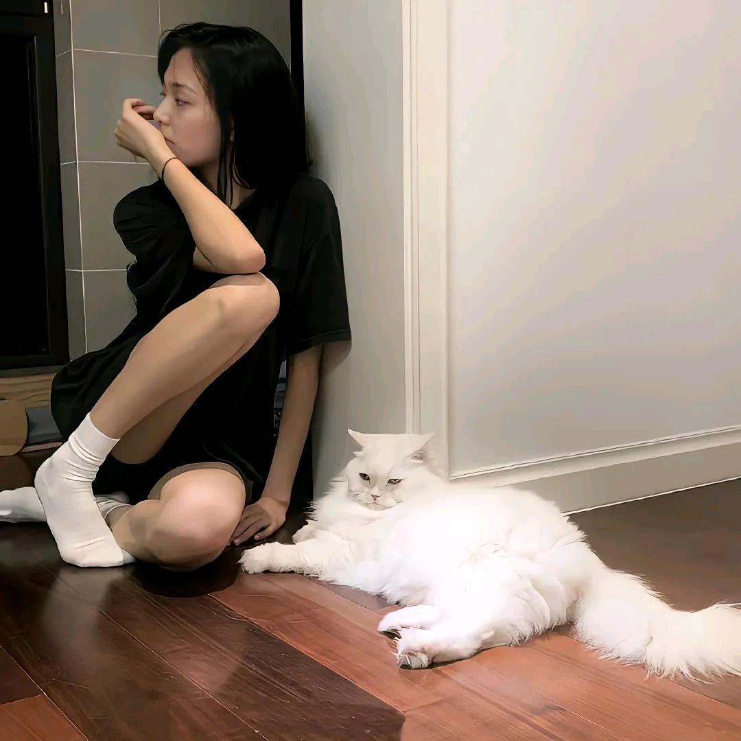 樱桃追剧