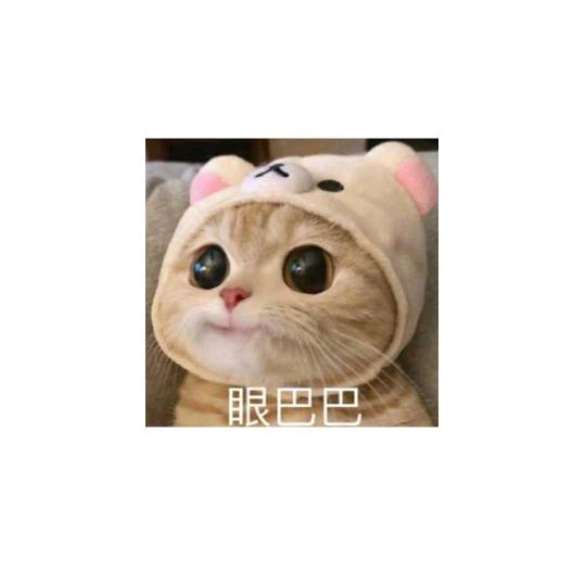 人生百态