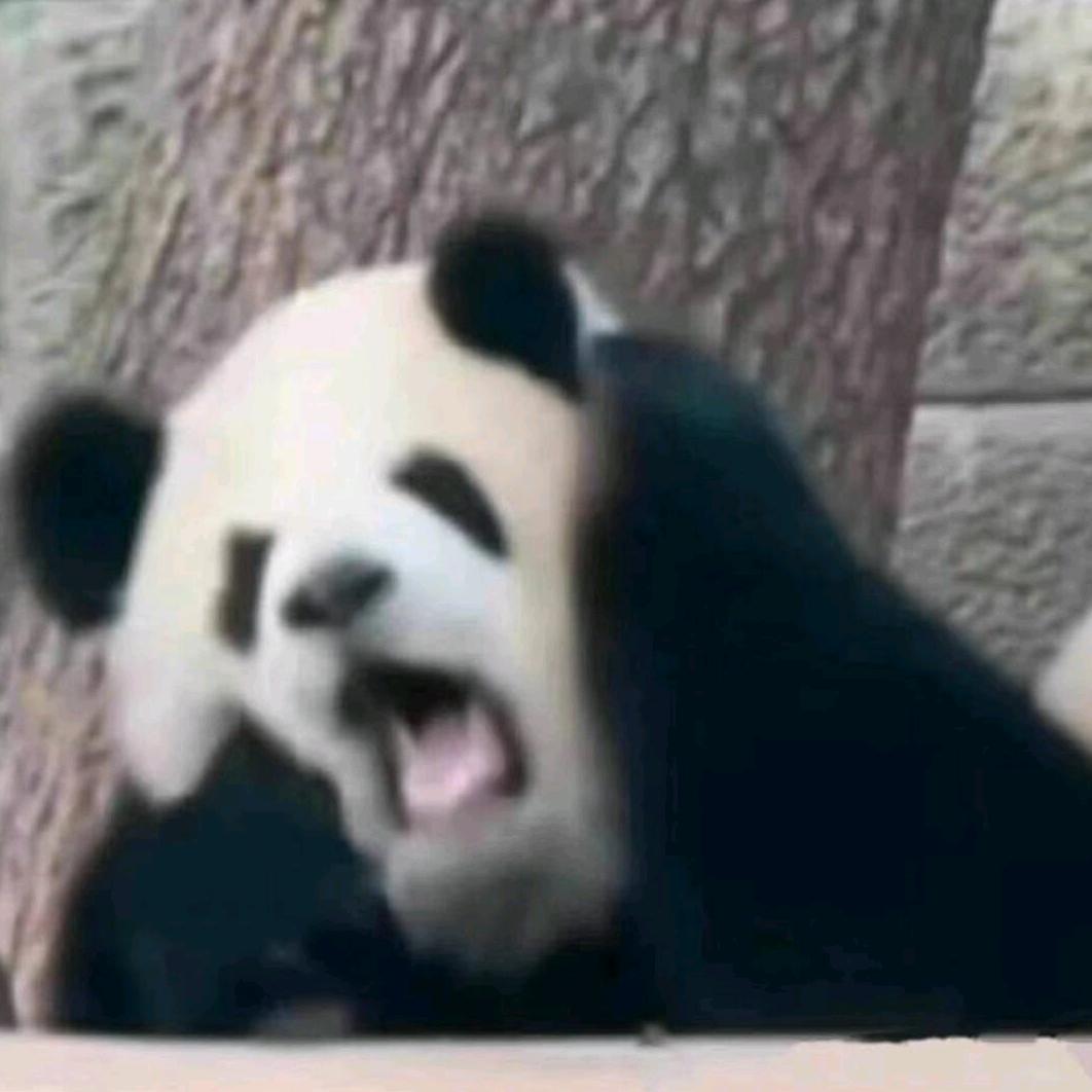 同学该铲了