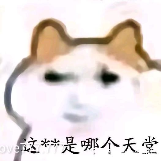 小猫牢底