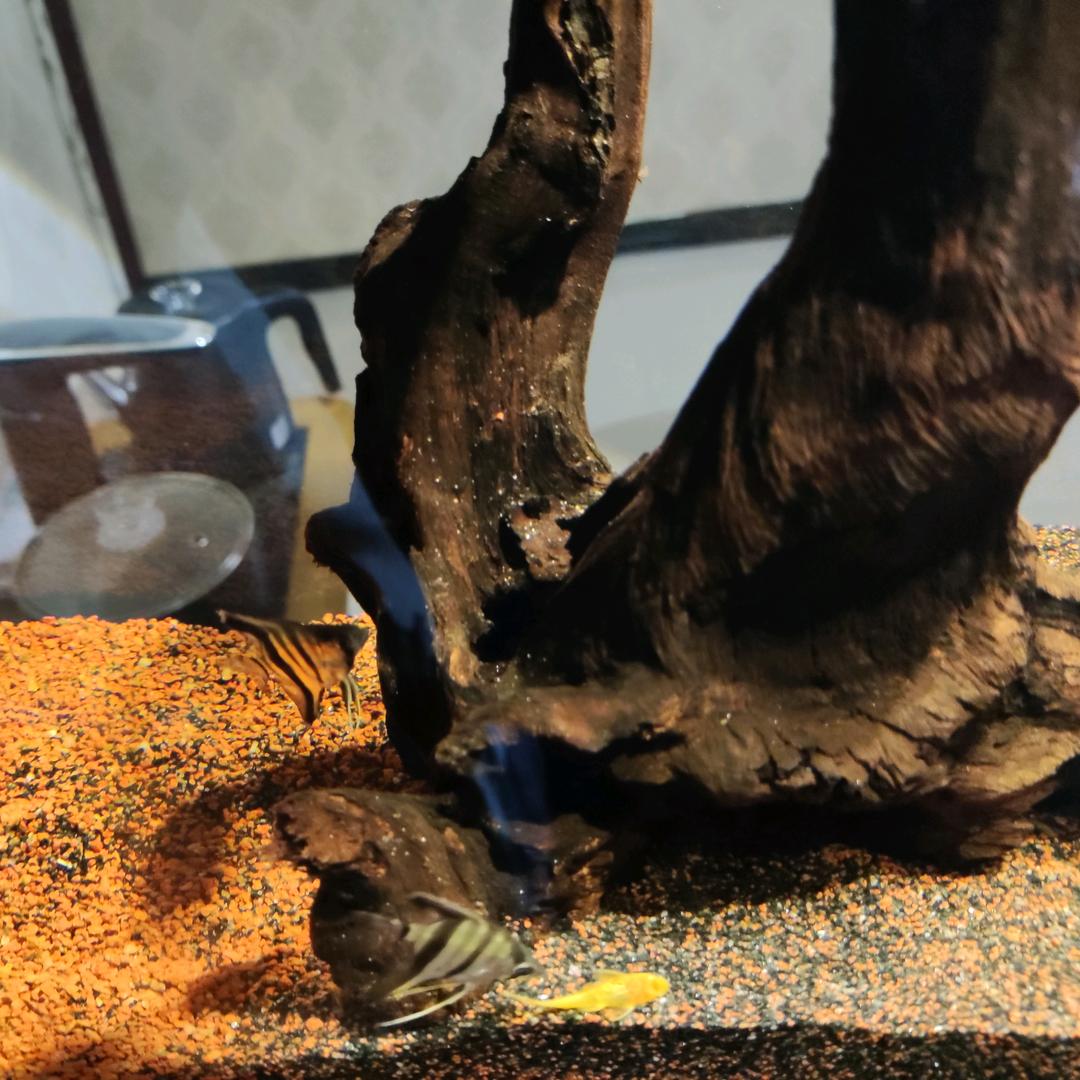 有种等待叫做沉默
