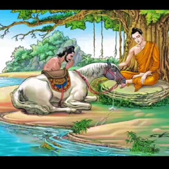 普次建筑建材店