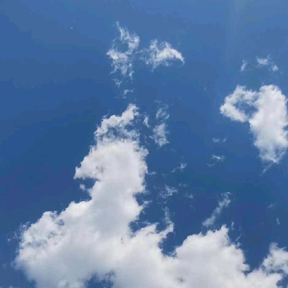 陈朝辉朝闻道书单