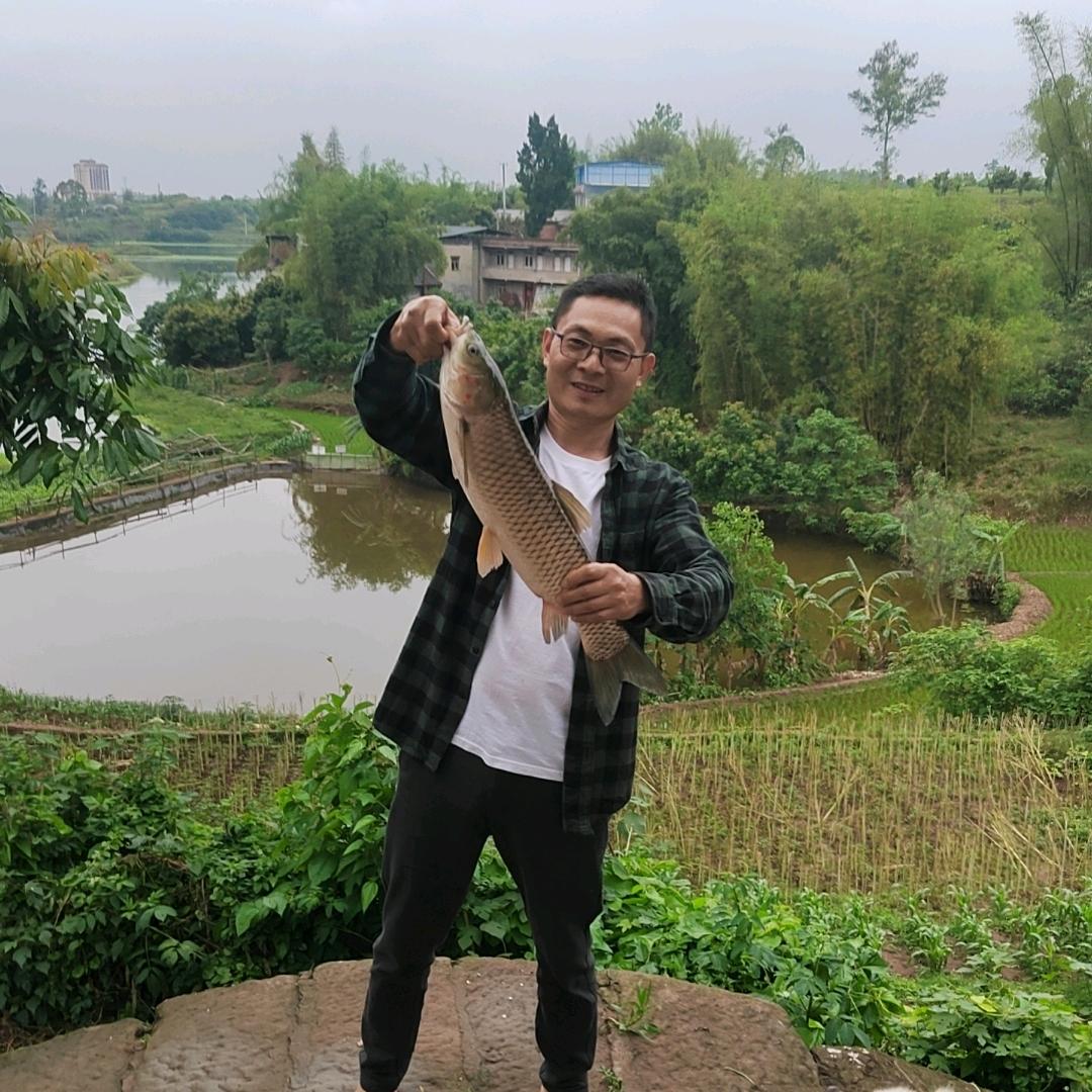 双湄水库~生态鱼